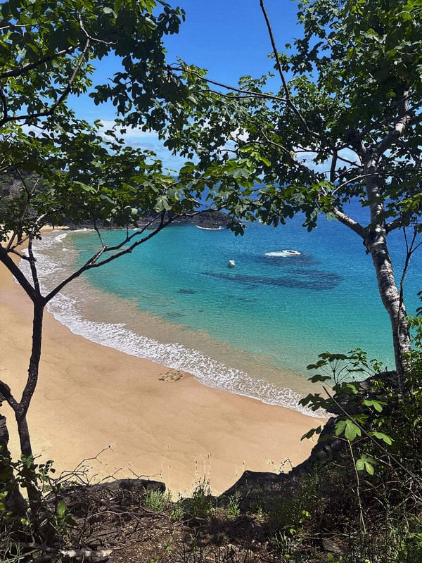 FERNANDO DE NORONHA 15