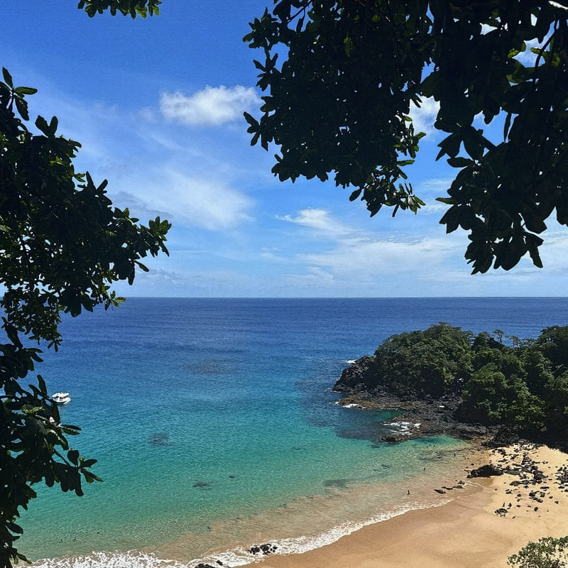 FERNANDO DE NORONHA 16