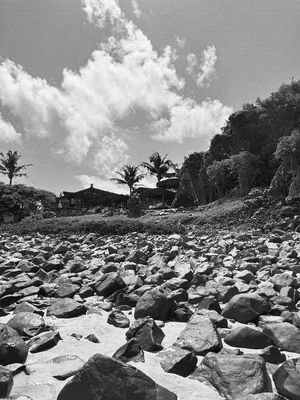 FERNANDO DE NORONHA 19