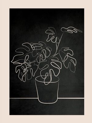 MINIMAL MONSTERA DELICIOSA PLANT 2