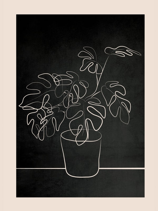 MINIMAL MONSTERA DELICIOSA PLANT 2