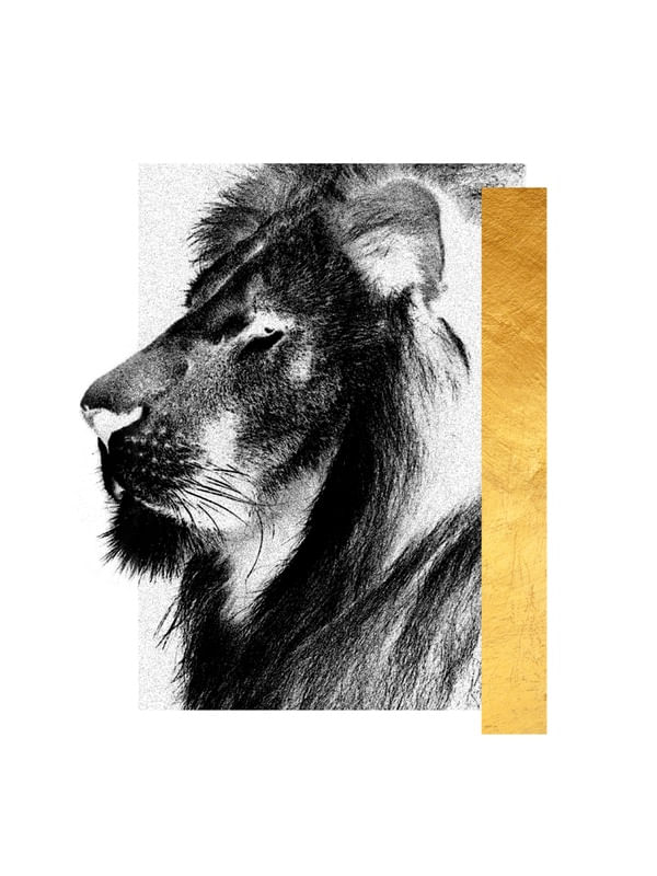 MARCA LEONINA