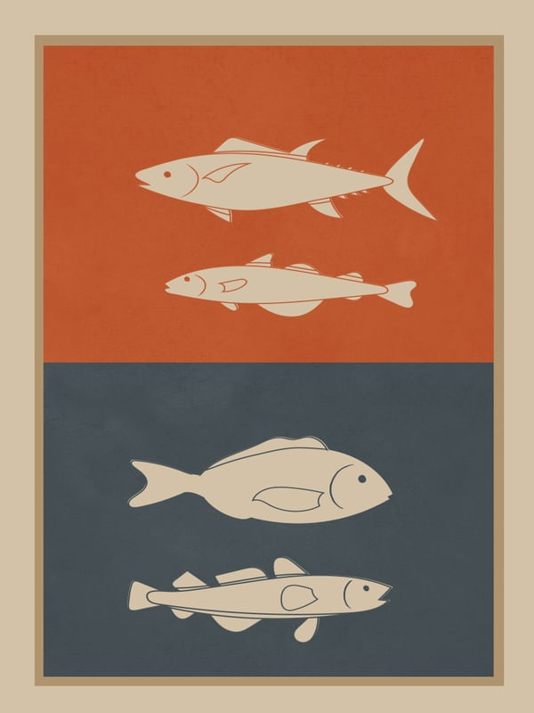 FISHES 2
