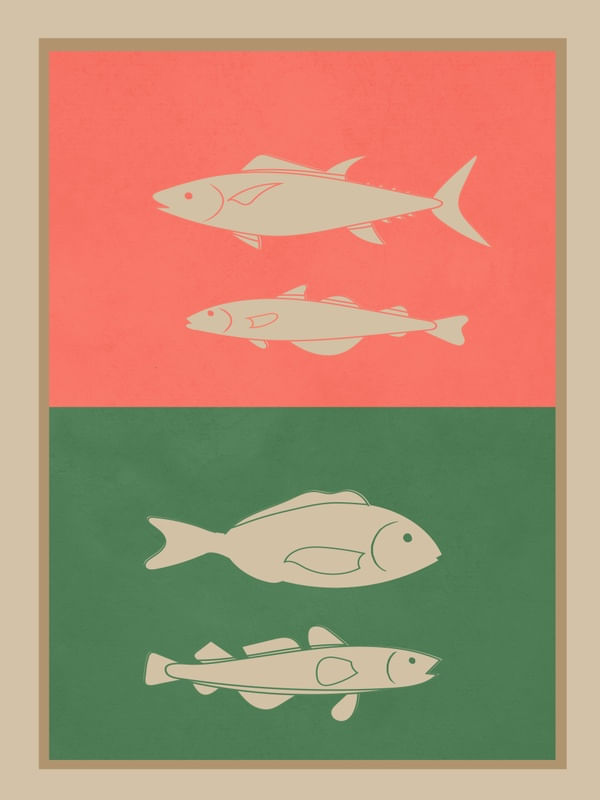 FISHES 3