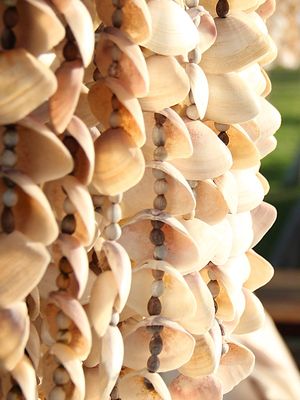SEA SHELLS CURTAIN