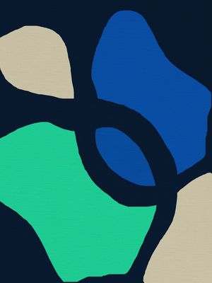 COLOR FIELD BA048 - THE NIGHT FAIRY