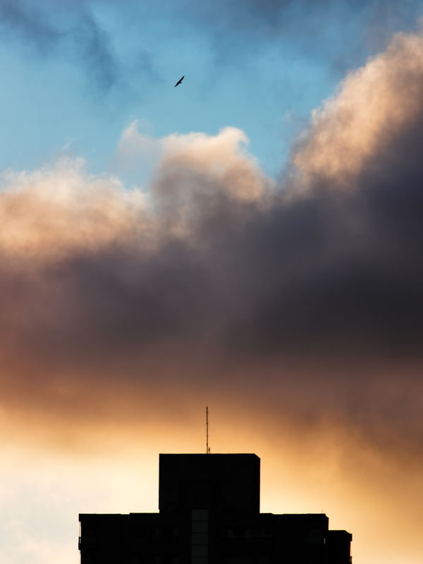 URBANO 896