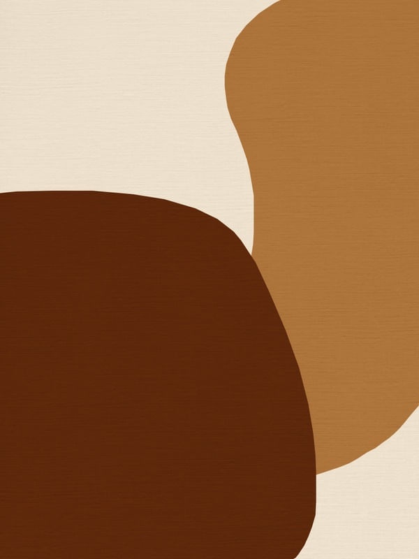 COLOR FIELD BA049 - ORGANIC MOCHA 0B