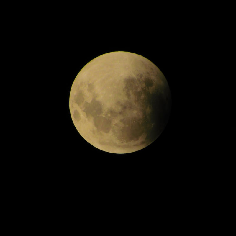LUA 230