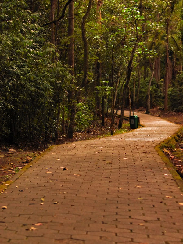 PARQUE CENTENARIO 23