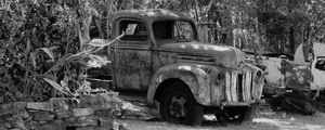 ABANDONADA NO QUINTAL