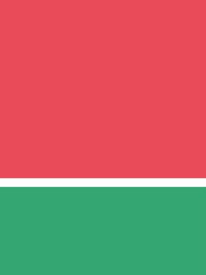 FLAT WATERMELON