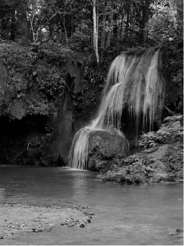 B & W BUCÓLICO