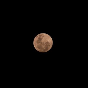 LUA 7