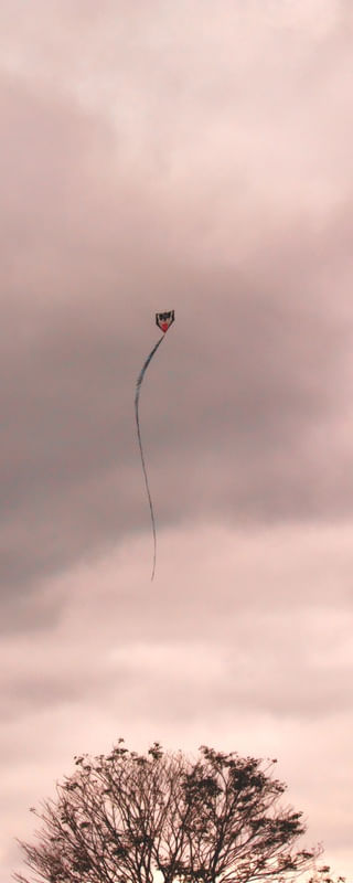PIPA 1294