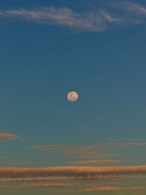 LUA 4573