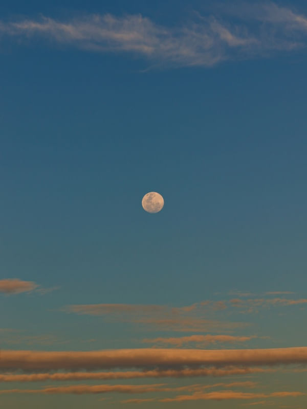 LUA 4573