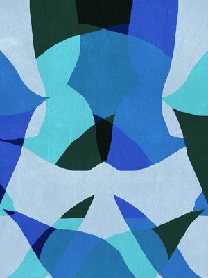 THE TWINS ARE BLUE