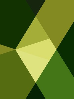 A CAIXA VERDE