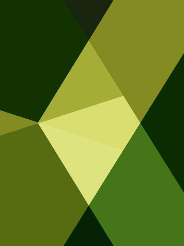 A CAIXA VERDE