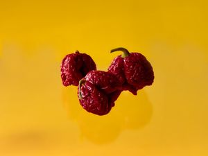 PIMENTA 3246