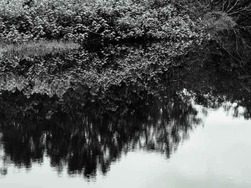 ABSTRATO 535