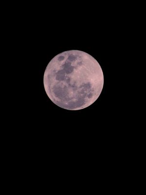 LUA 641