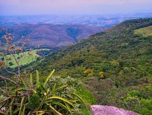 MANTIQUEIRA 3015