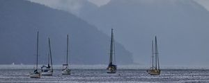 UBATUBA 6303