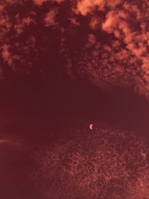 LUA 7621