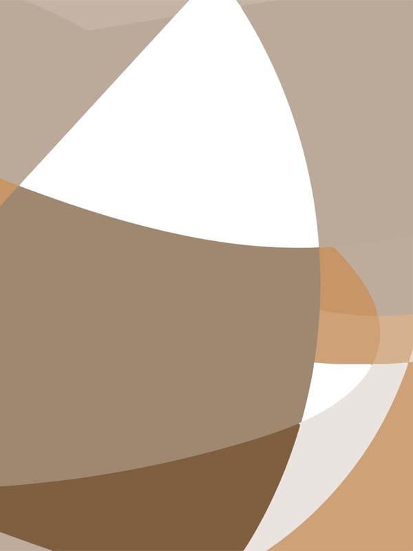 THE GEO FOX BA0D
