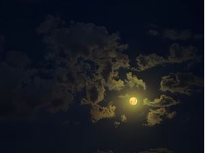 LUA 50