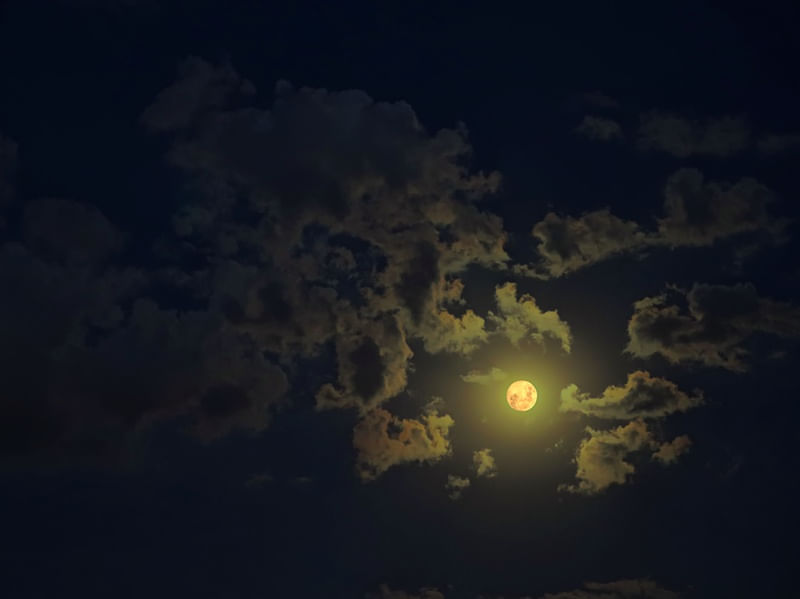 LUA 50