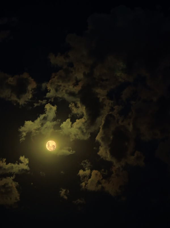 LUA 38