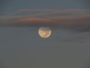 LUA 1282