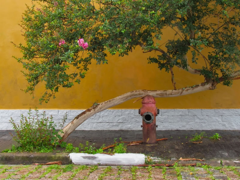 URBANO 2621