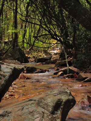 SÃO THOMÉ DAS LETRAS 695