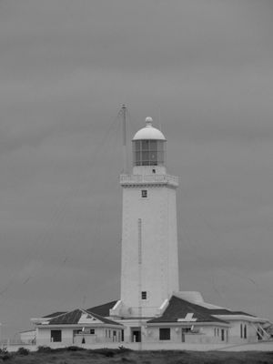LAGUNA 1888