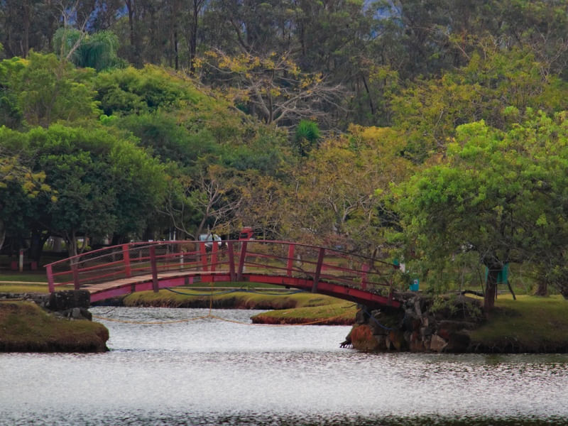 PARQUE CENTENARIO 731
