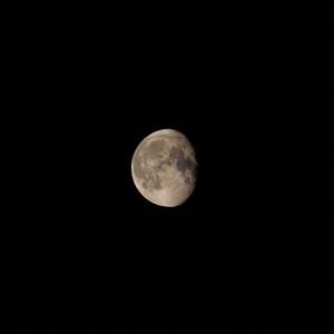 LUA 19