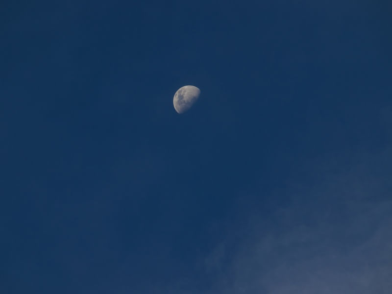 LUA 4482
