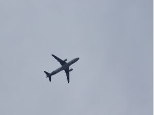 AVIÃO 1318