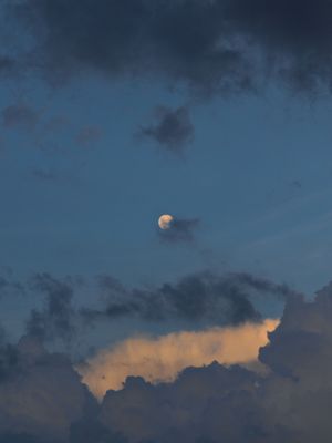 LUA 2206
