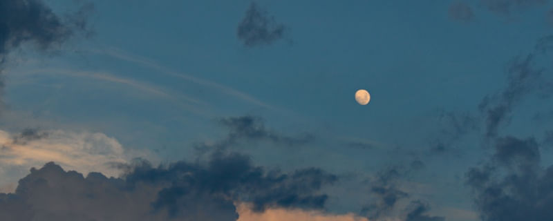 LUA 1564