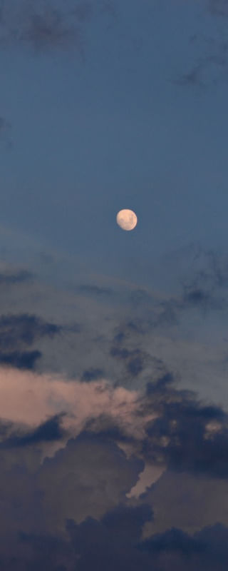 LUA 1555