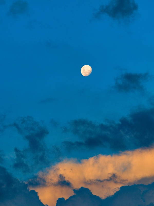 LUA 2361