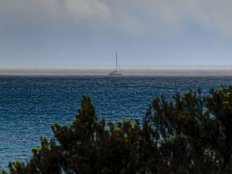 LE HORIZON 658