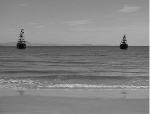 CANASVIEIRAS 1743