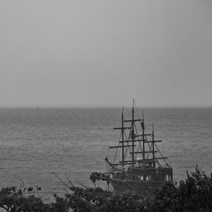 CANASVIEIRAS 581