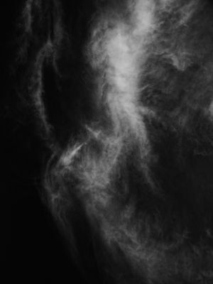 LUMIÉRE 3613